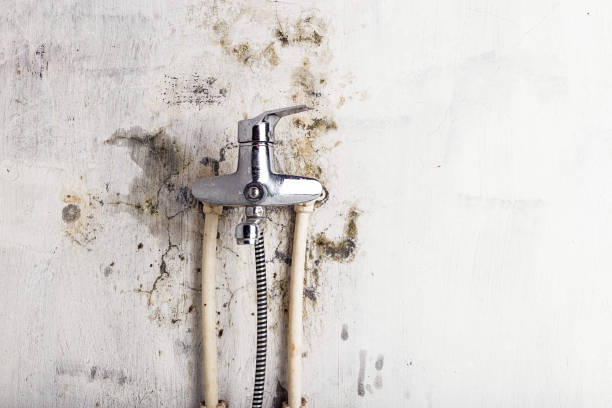 Certified Mold Removal in Loveland, OH