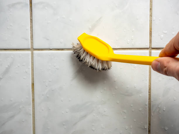 Best Mold Testing and Removal  in Loveland, OH