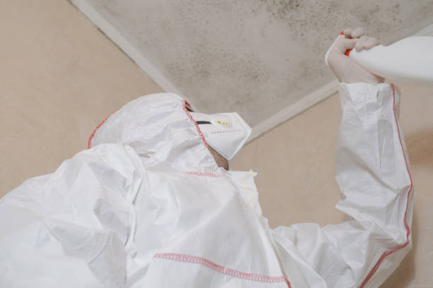 Best Certified Mold Removal  in Loveland, OH